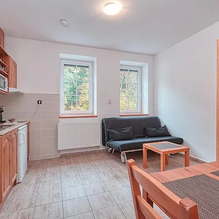 Aparthotel White - Hill Černý Důl