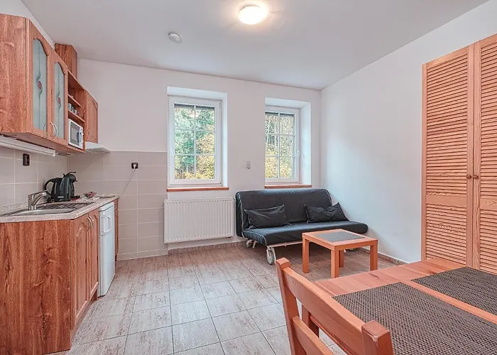 Apartmanhotel White - Hill Černý Dŭl